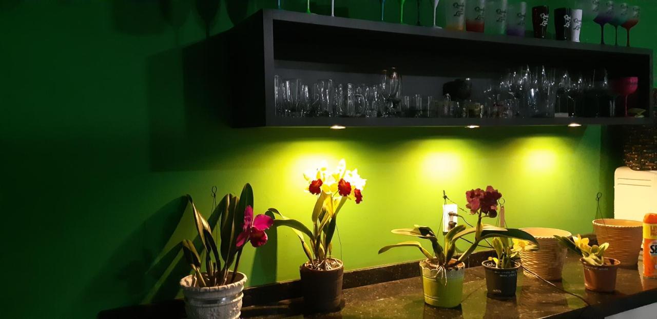 Quinta Do Lapa II Apartment Florianopolis Bagian luar foto